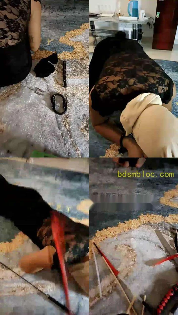 【一一S】虐CD狗，手铐脚铐鞭打