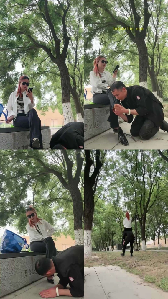 【语阳】户外玩狗