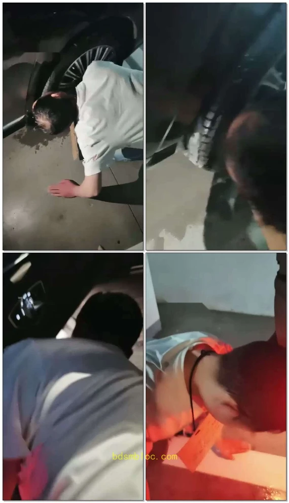 【药神V】要饭狗化身为轮胎清理器