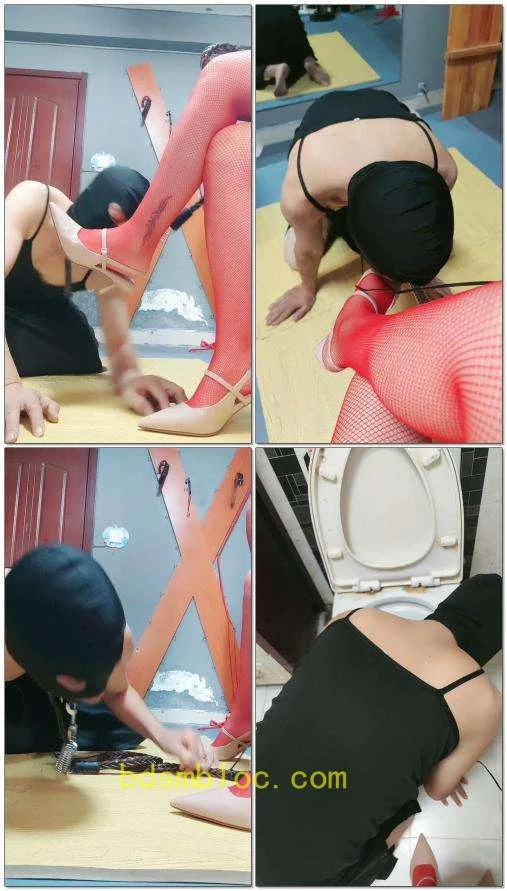 【东营天香百合】舔马桶的贱货
