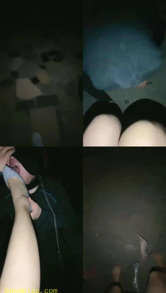 【西安米兔S】午夜场户外调狗舔鞋底骑马