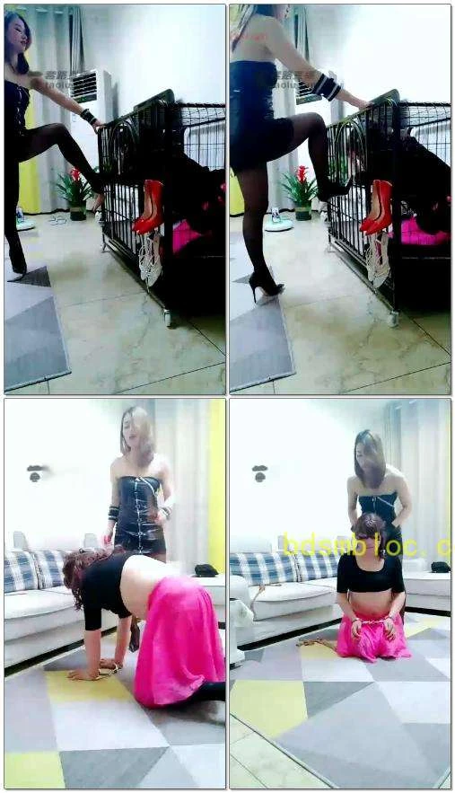 【王妃】重庆双主调教CD狗
