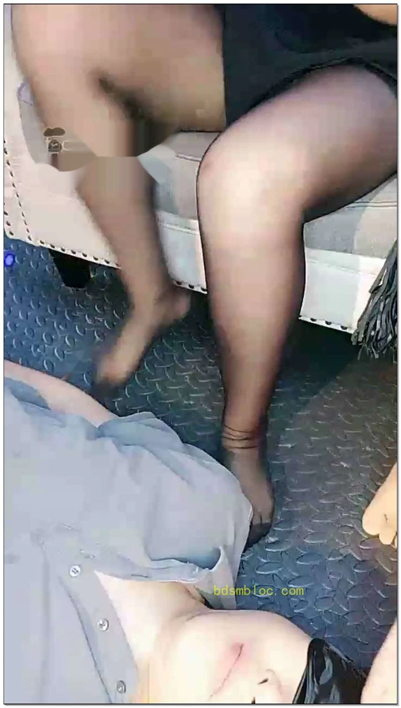 【肉肉女皇】双主戏狗
