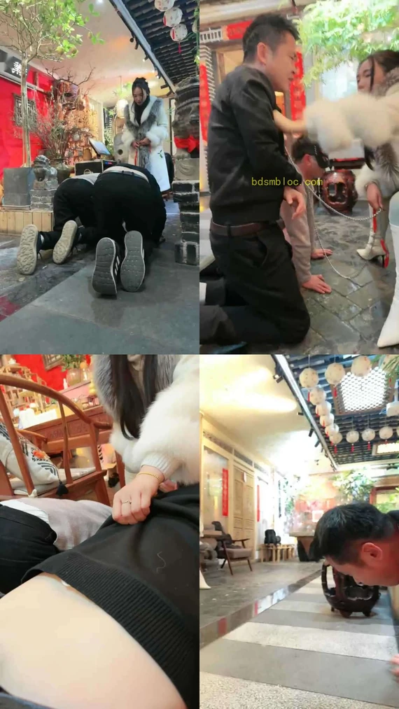 【Mechelle傲雪】带两条狗给朋友拜年