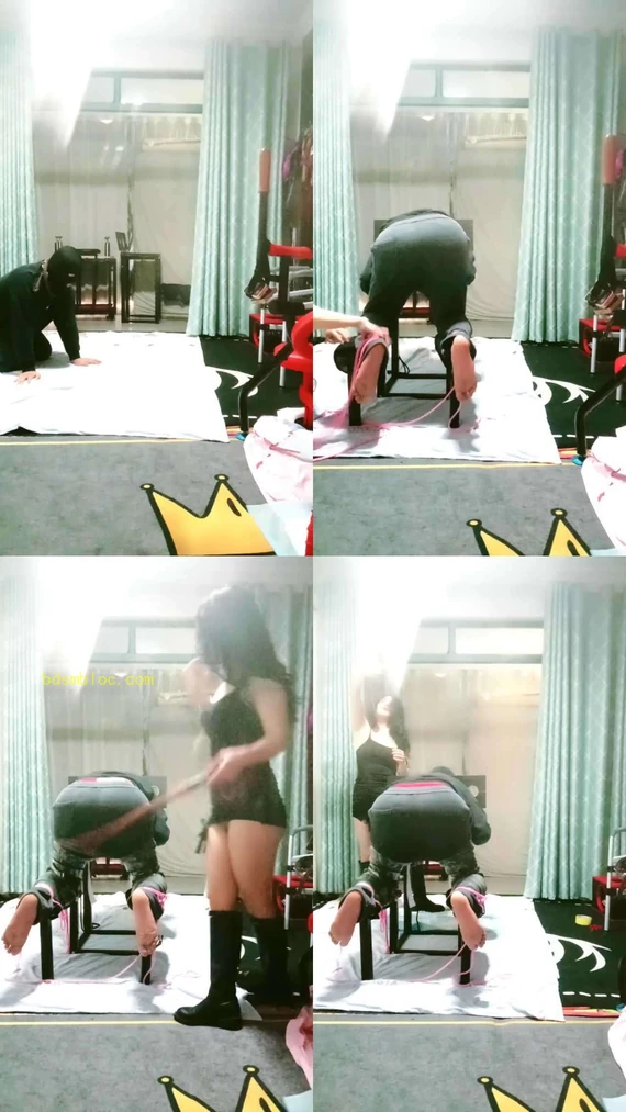 【上海女王白狐】惩罚叛徒狗