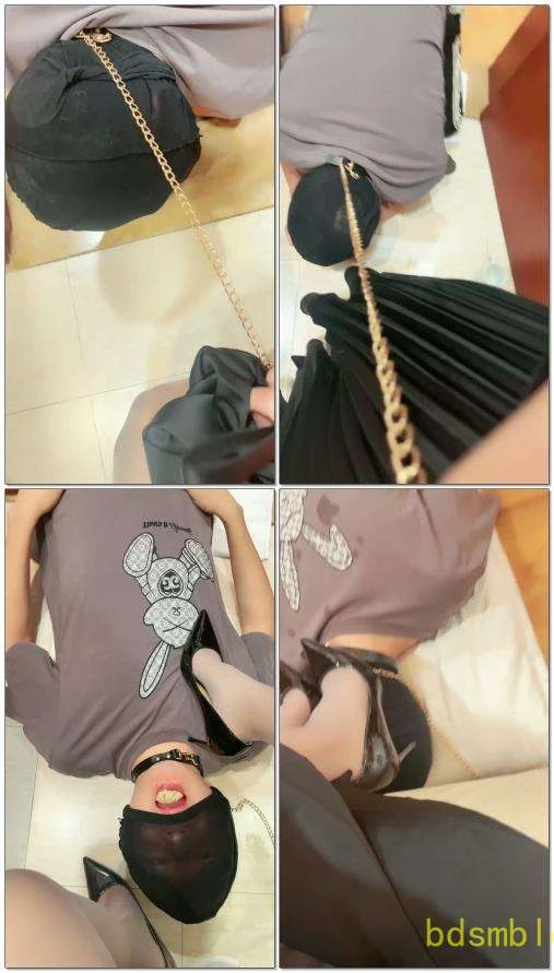 【王妃】间接hj圣水马桶