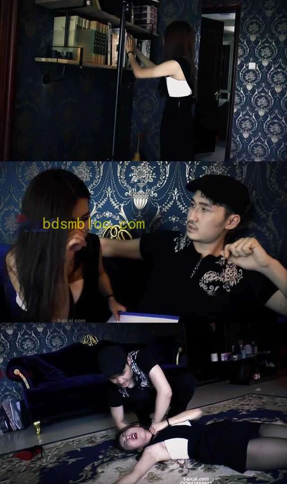 【冰时代】剧情 窃取机密的女秘书