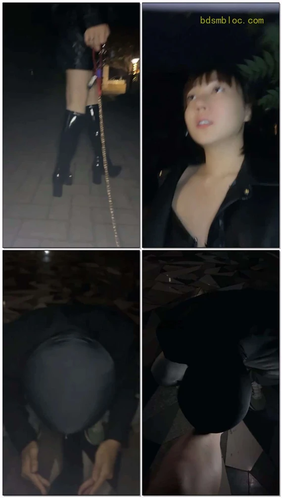 【沈阳璋爷s】户外调狗（下）