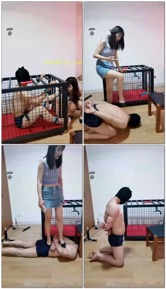 【s夏夏绳缚】强制直播调狗,被电菱了
