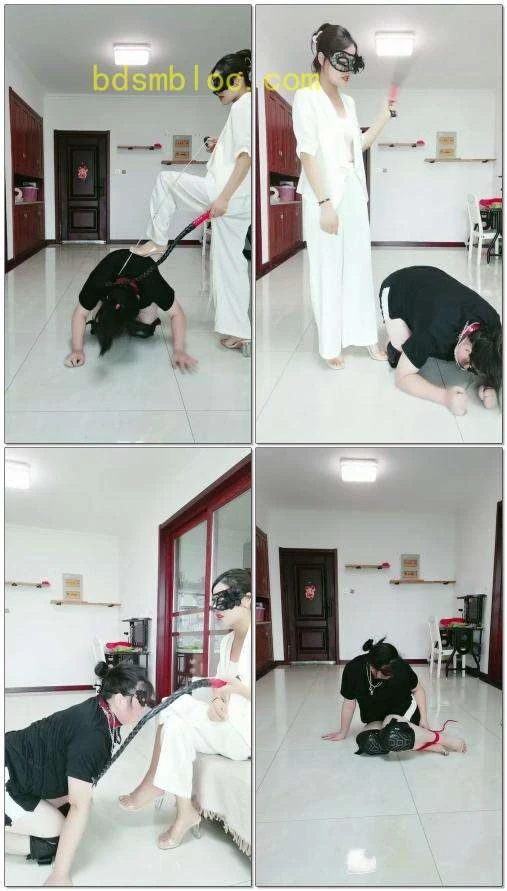 【凌儿女神】TJ鞭打发情母猪