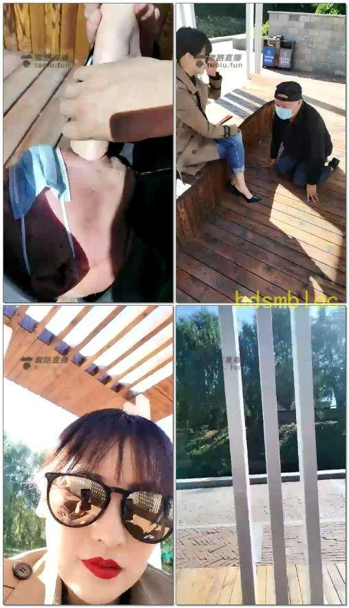 【半夏S】户外偶遇狗
