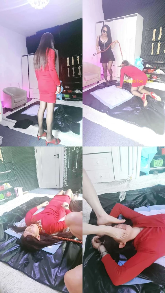 【南京冰炫女主】玩TS狗