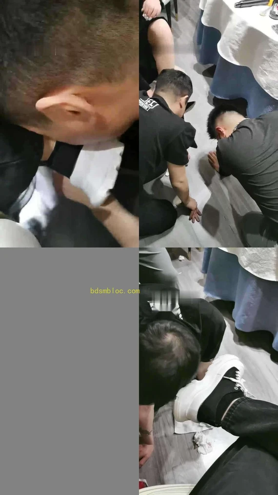 【维依】餐厅聚会双狗伺候【双视角版】