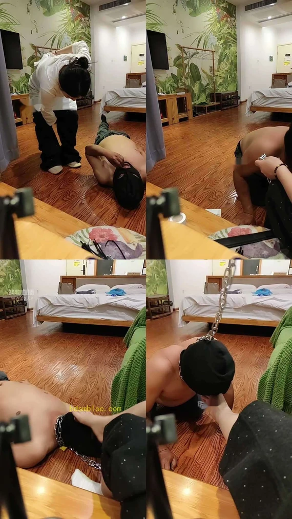 【可乐s】天天犯贱找主人