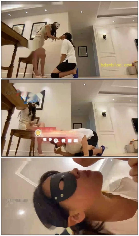 【妆主大大】女保姆的母狗之路【12分钟】【艾踩】