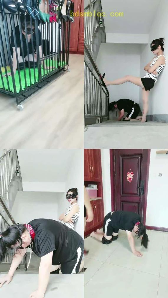 【凌儿女神】囚禁狗笼彻底犬化闺蜜【上】