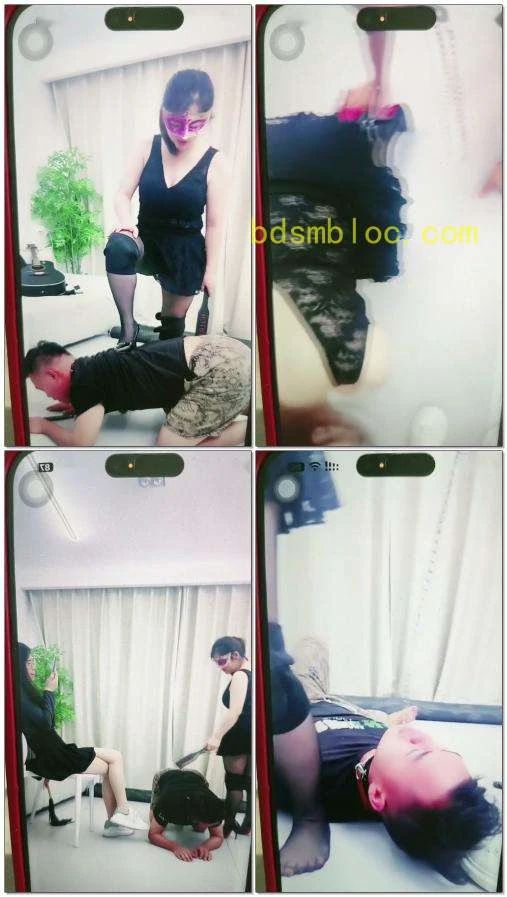 【北京嘟嘟可主可慕】TJ夫妻狗