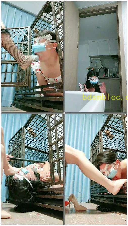 【喵酱紫S】家宠喂食超浓圣水