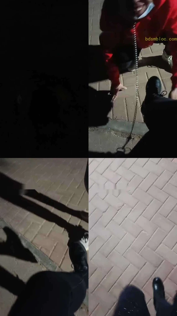 【平凡】户外遛狗当众羞辱