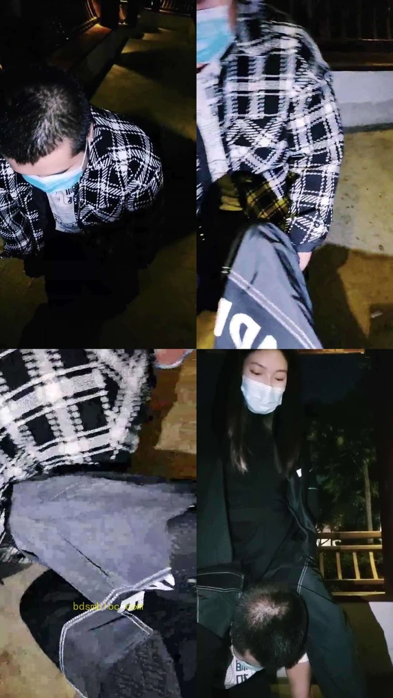 【温莎】深夜户外溜废狗