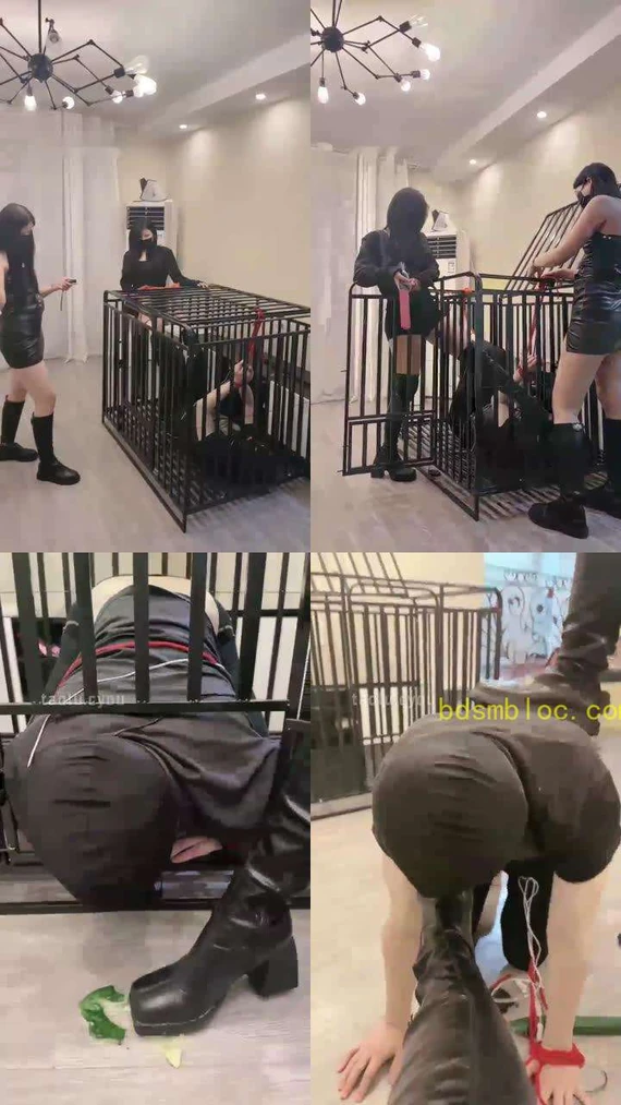【礼礼】2个女王调教被圈养的男奴