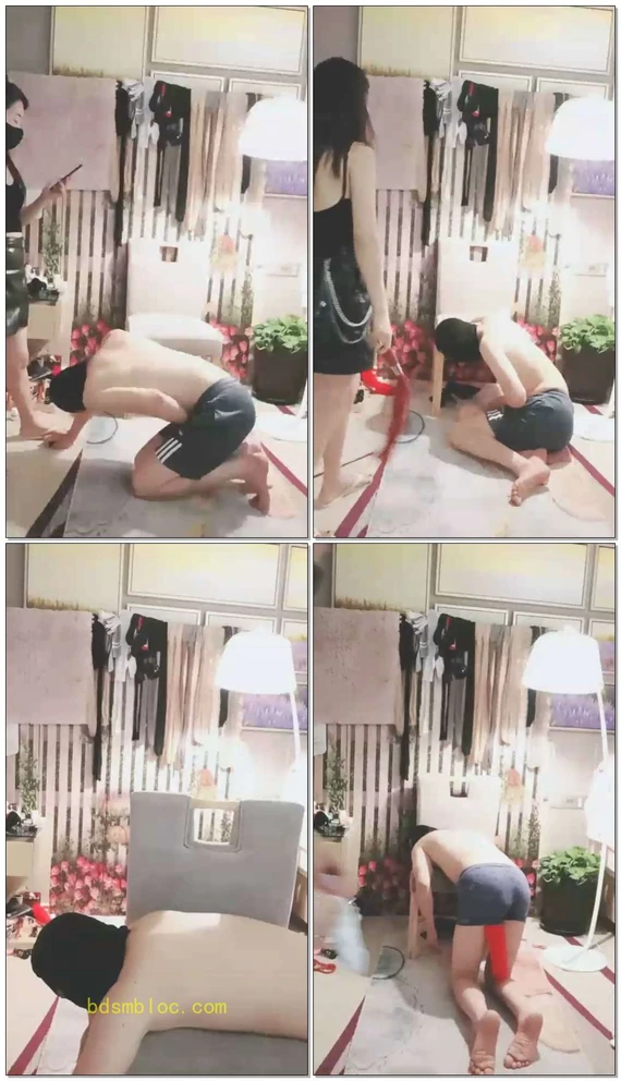 【依然S】钻胯，踩踏，踢裆，鞭打