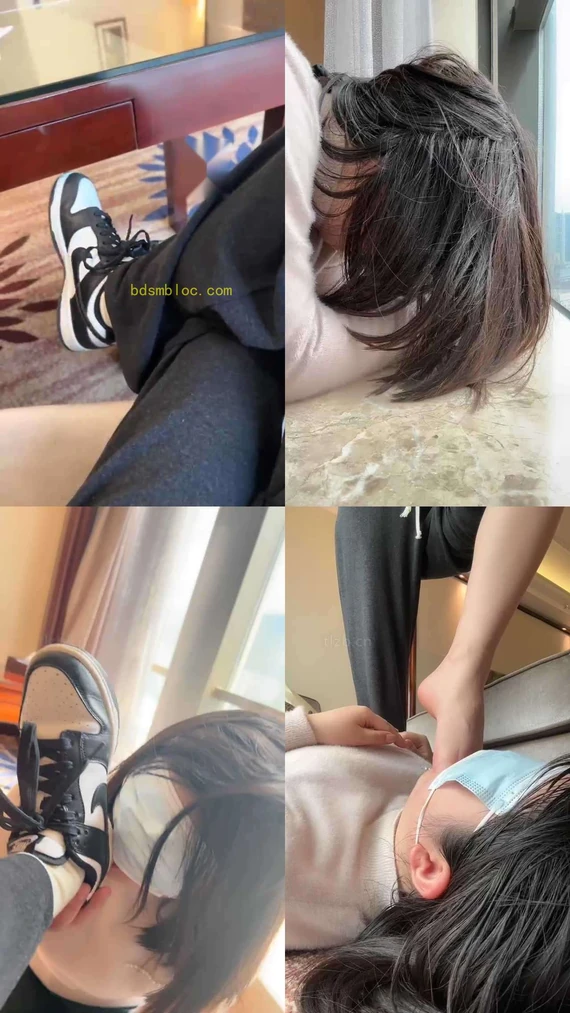 【小哈宝】玩玩新的小女姆