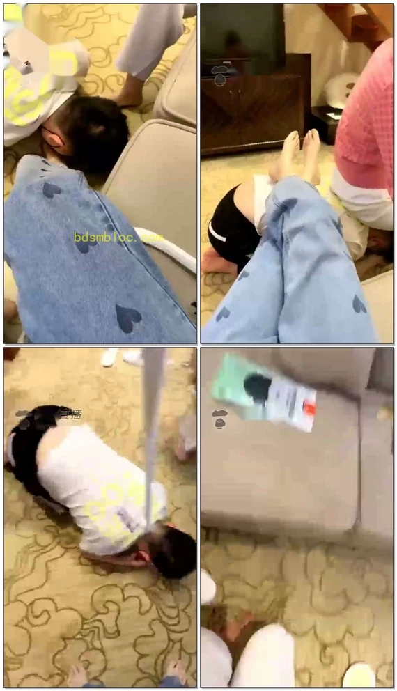 【瑞恩S】双女主调下贱狗