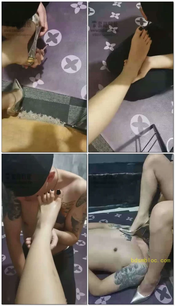 【北京宠儿s】随便玩小狗
