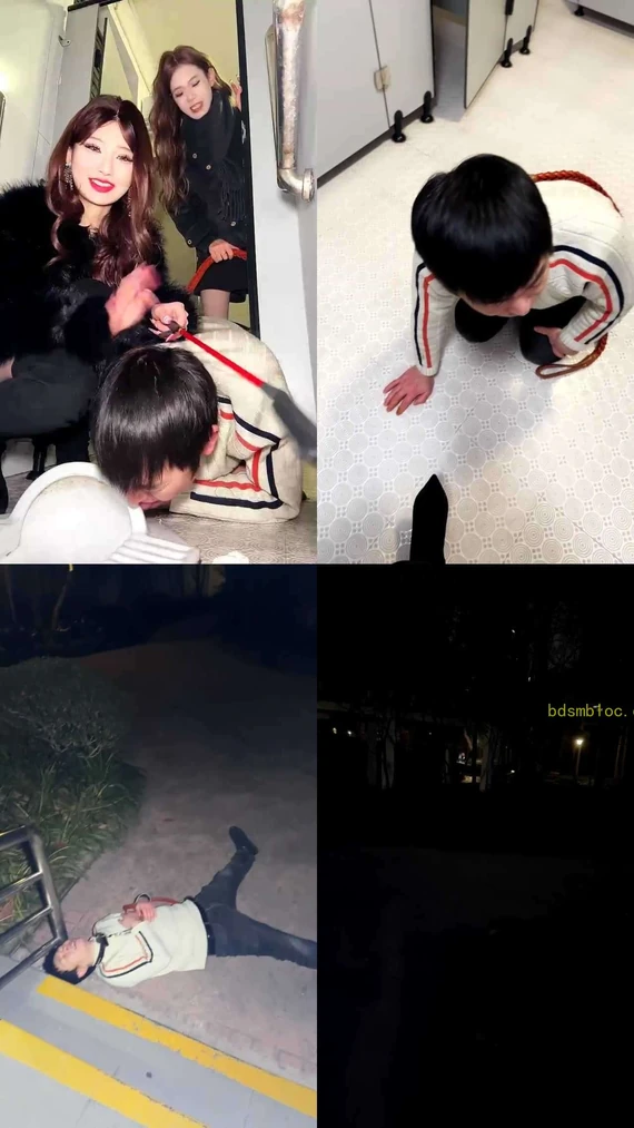 【欣然莫】双主户外女厕玩狗2
