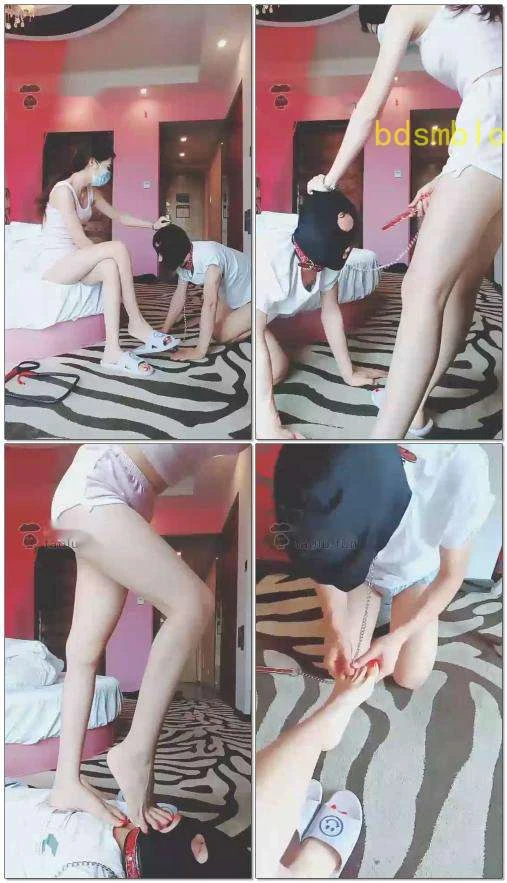 【多多S】好困啊,还没起来,这狗就在楼下等了