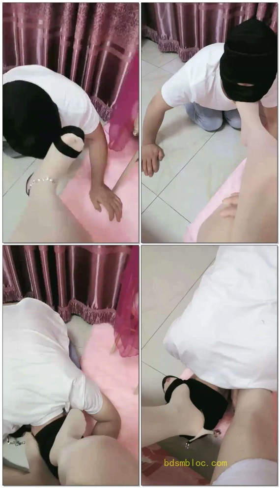 【静心女王】调教贱狗，舔鞋，舔丝袜脚