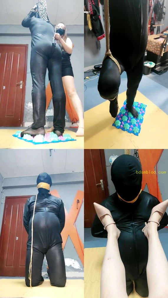 【东营天香百合】惩罚狗
