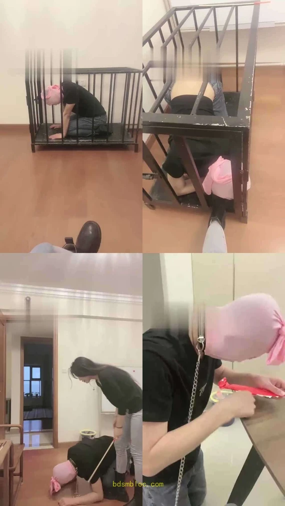 【霁月】训练圈养的贱狗