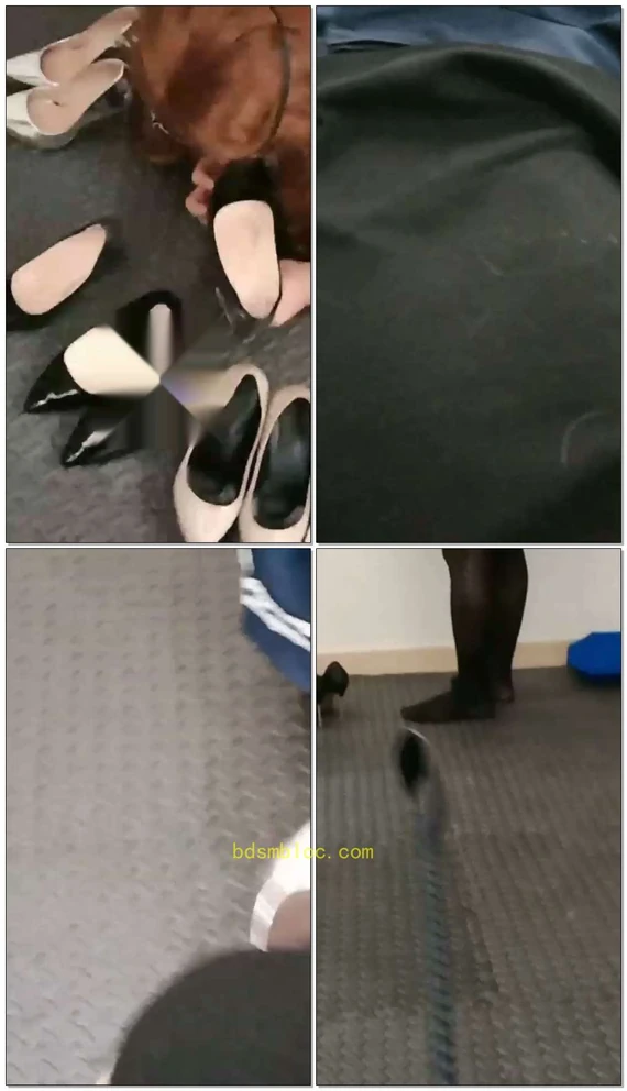 【廊坊莫云】玩没有尊严的贱货