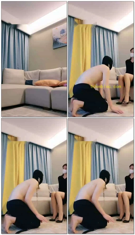 【禾未】家仆厕化犬化考核乌桶奴塑造