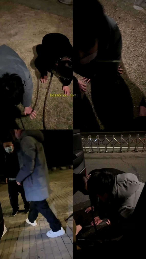 【苏御大人】户外遛遛狗