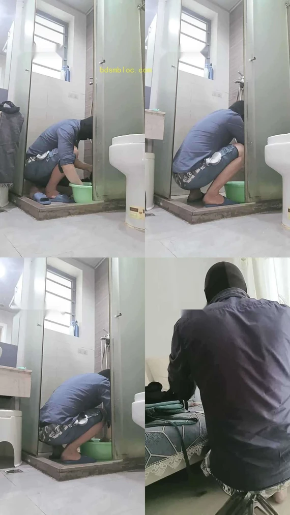 【深圳乐乐】驯化家畜打扫卫生