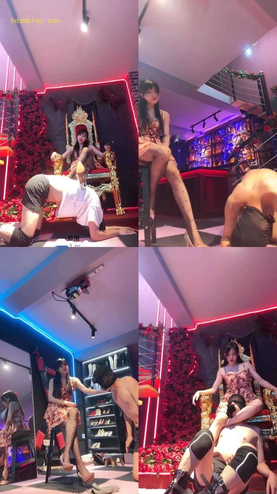 【伊晨s】暴虐傻逼脑残狗