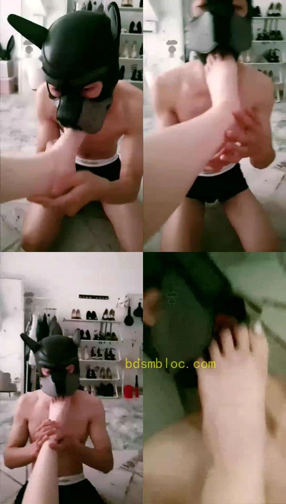 【汐雯】 舔脚狗