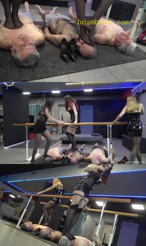 【欧美女王】Scarlet Gabriella和Victoria三位极品女神臭丝袜脚群踩三条贱狗！