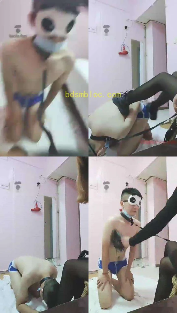 【潇月S】黑丝长腿玩狗赏圣水皮鞋里的丝袜香吗