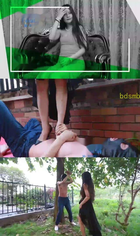 【HPL栖心之栈】—芷晴不留情