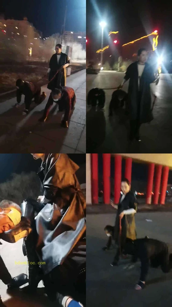 【冷御女王】高贵女王户外溜双狗奴