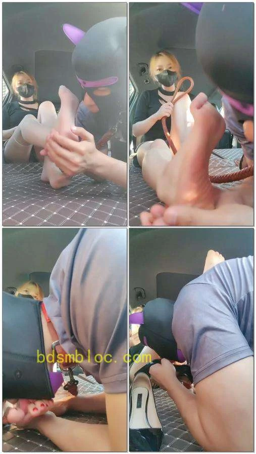 【依依东望】户外玩狗