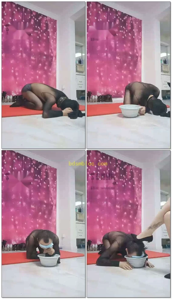 【筱雅S】小泰迪喝圣水