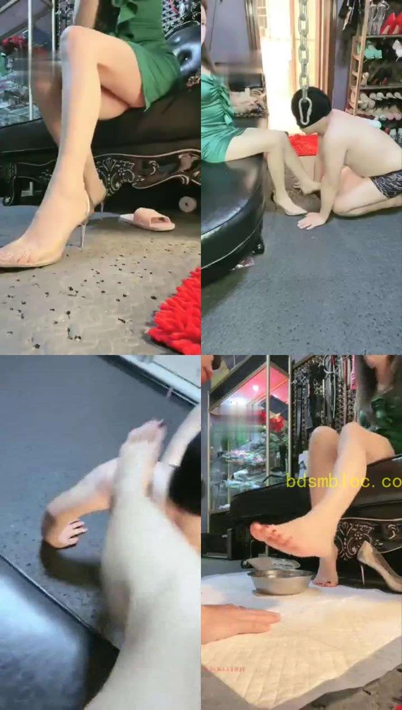 【女王盟主】玩狗，喝洗脚水