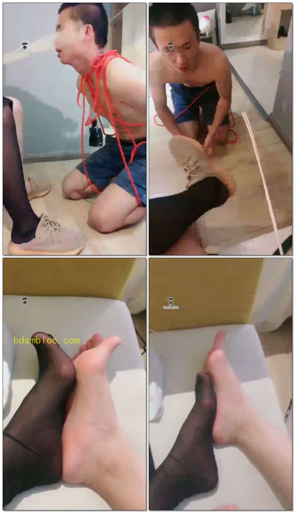 【曳摇】爆打小贱狗 【曳摇】爆打小贱狗